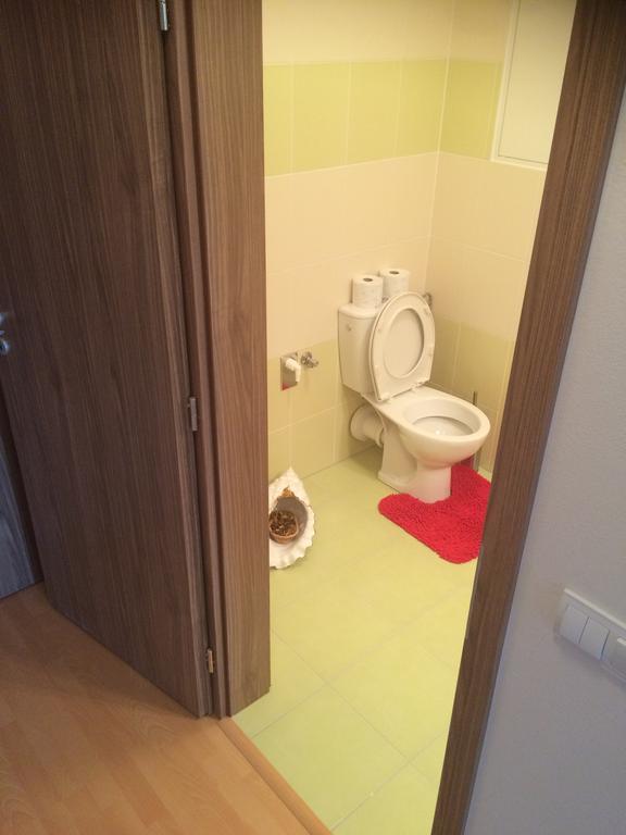 Apartment Fiala Olomouc Oda fotoğraf